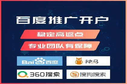 行业领先企业的网站sem托管实践